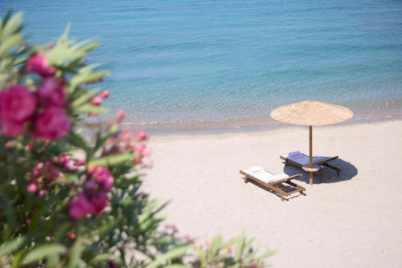 Elissa Adults-only Lifestyle